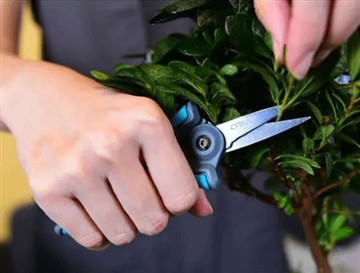 Miksi toimme markkinoille uudet ja isommat sakset?