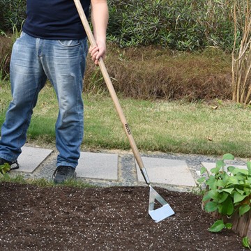 Kasvispuutarhan perustamisen edut