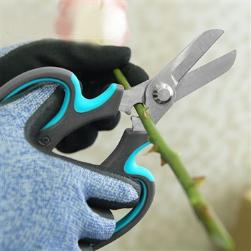 Kukkapuutarhan alkaminen