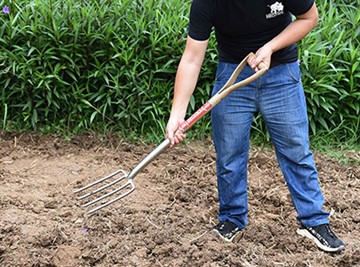 Lyhyt esittely venäläisestä puutarhakulttuurista