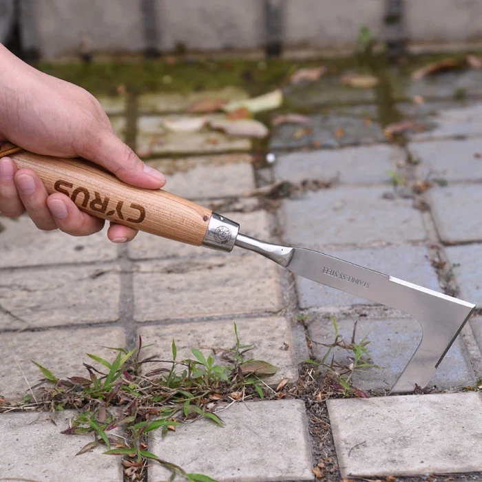 Puutarhan kitkeminen on helppoa ruostumattomasta käsin rikkakasvittimella