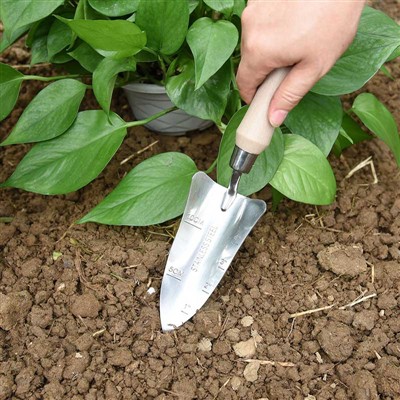 Puutarhanistutuspäiväkirja -1