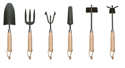 Tomaattien istuttaminen kotona