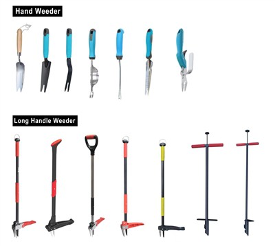 Vihreän viljely: kestävyyden omaksuminen puutarhassasi