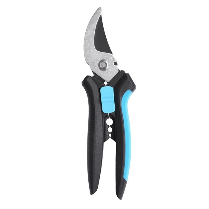 Professional Rose -leppääjät